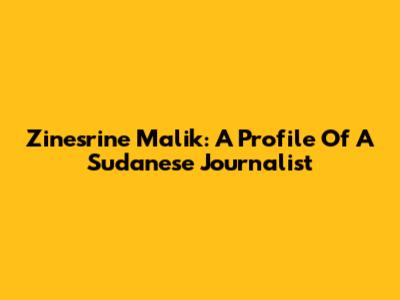 Zinesrine Malik: A Profile Of A Sudanese Journalist